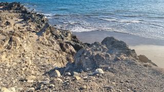 2024-03-Playa_del_Cometa-08.jpg